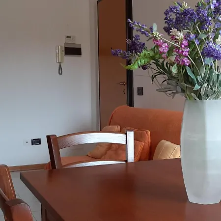 Viola Holiday home